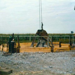 Spino_D18_P1
