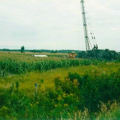 Spino_D18_P3