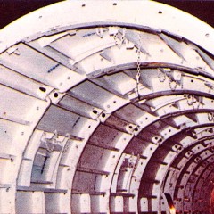 spino-D04-P03